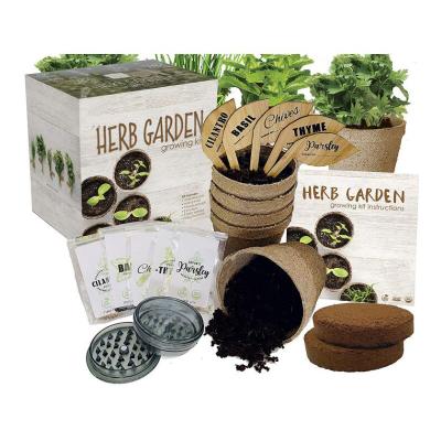 China Chinese Style Gift Herb Garden Growing Seed Starter Indoor Gardening Kit for sale