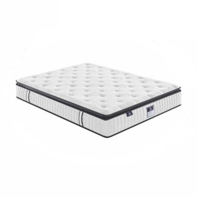 China Other Rolling Up Foam Premium King Size Twin Folding Double Bed Base for sale