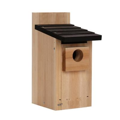 China Viable Cedar Bluebird Box House, 12