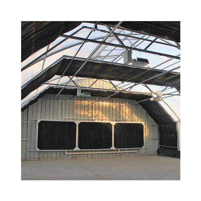 China Stable Structure Easily Assembled Commercial Greenhouse Plant Greenhouse Growing Light Dep Greenhouse for sale