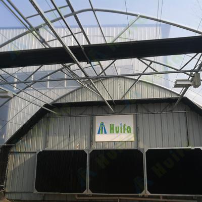 China Cheap Automatic Stable Structure Deprivation Greenhouse Light Dep Greenhouse For Hemp Planting for sale