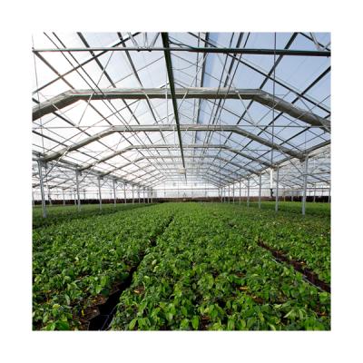 China Stable Structure Easily Assembled Automatic Light Deprivation Light Hemp Greenhouse Deprivation Light Blackout Selling PC Sheet PC Sheet Greenhouse for sale