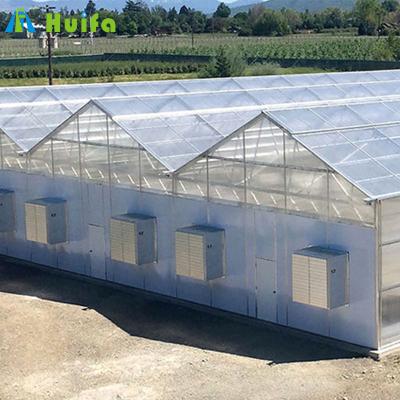 China Special Medical 100% Growing Film Blackout Greenhouse Darkness Light Trap Polycarbonate Tunnel Greenhouse for sale