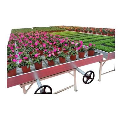 China Fruits Vegetable Flowers Hot Selling Customized Hydroponic Flood Rolling Bench Systems 4x8 Flood Ebb And Table for sale