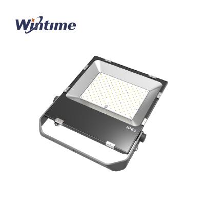 China Residential garden decoration ip65 waterproof lightweight aluminum 100w led floodlight for outdoor for sale