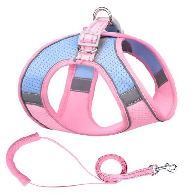 China Custom Thoughtful Dog Accessories Pattern Thoughtful Adjustable Puppy Fashion Pet Harness And Leash Set for sale