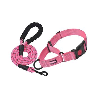 China Quick Release Collar Thoughtful Nylon Dog Collar With Quick Release Buckle Dog Training Collar Thoughtful Dog Leash for sale