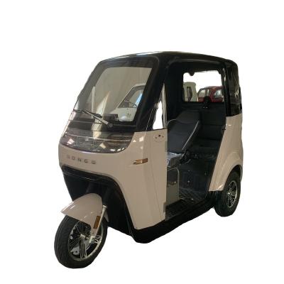 China Japan Passenger Electric Tricycle /electric tricycle electric tuktuk for sale