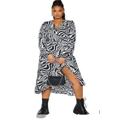 China Women's Breathable Dress Zebra Pattern Plus Size Print Long Sleeve Dress For Women for sale