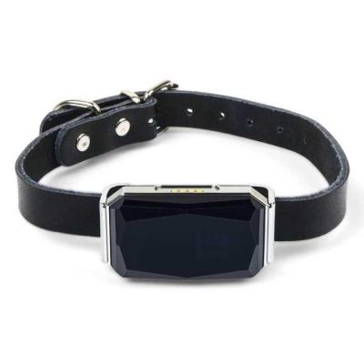 China Dog GPS Location Pet Products Waterproof IP66 Mini Puppy Diamond Shape Tracking Gps Anti Lost Dog Collar For Dog for sale