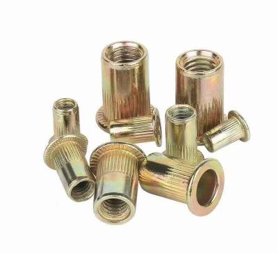 China New heavy industry design wholesale price caster wheel install nut and bushing /rivet pin rivet blind nut for sale