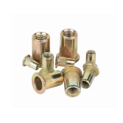 China Heavy Industry China Manufacturer New Product Blind Rivet Series 2022 Aluminum Profile Nuts for sale