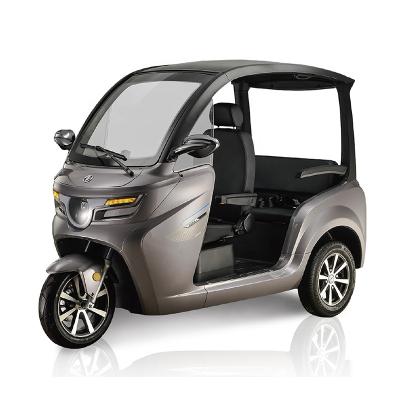 China 2021 New Arrival Electric Passenger Tricycles With Plastic Cabin For Disabled Lower Price for sale