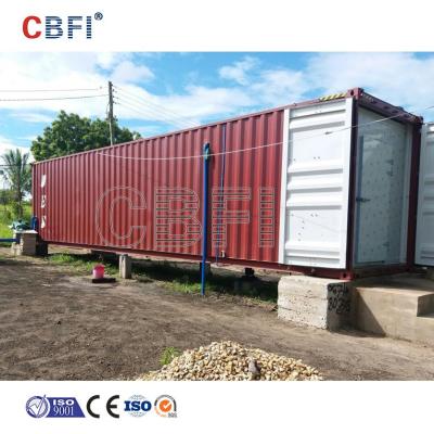 China CBFI container container cold storage room for sale fruit vegetable cold room freezer room for sale