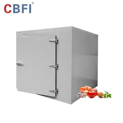 China Hotels Cold Storage Manufacturers Cold Room Evaporator Price Cold Room Construction Cold Storage Project for sale