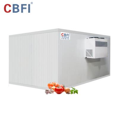 China Container Cold Room Manufacturing Cold Room Evaporator Price Cold Room Construction for sale