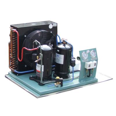 China Container Used Cold Room Condensing Unit With Scroll Compressor for sale