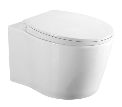 China Wholesale Good Quality Concealed Cistern Modern Design Apartment School Mall Hotel Wall Mounted Bathroom Wall-hung Luxury Rimless Toilet WC for sale