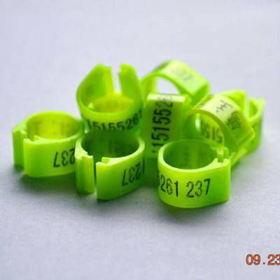 China 2014 Viable Light Green Color India 8mm Clip Pigeon Rings With Own Letters For Custom for sale