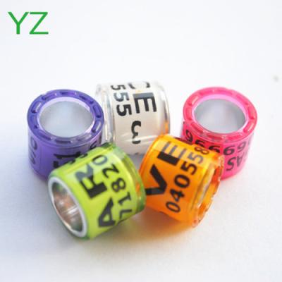 China 2015 newest viable bands supply by YZ pigoen brand of rings map for sale