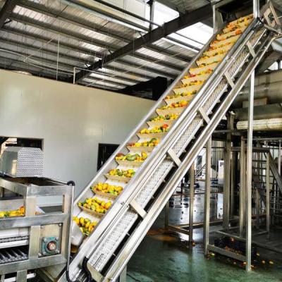 China Factory Hot Selling Industrial Mango Juice/Pulp/Pure Production Line for sale