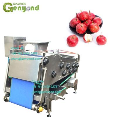 China High Frequency Beverage Plant Belt 500kg/h Baler Fruit for sale