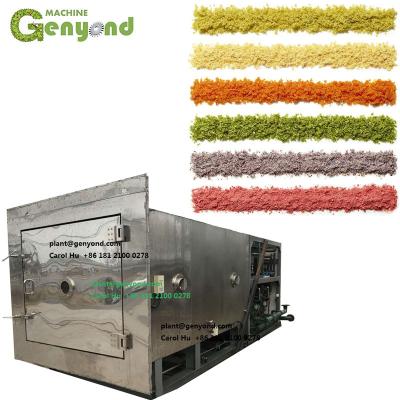 China Chemicals Processing Product Best Honey Powder Selling Freeze Dryer for sale