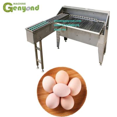 China Bakery 5000pcs per hour small egg sorter for sale