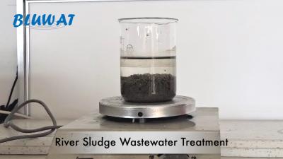 China BV Anionic Polyacrylamide Flocculant River Sludge Wastewater Treatment Sludge Thickening for sale