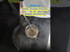 Water-Soluble Polymer for Sludge Dewatering Water Treatment Additives