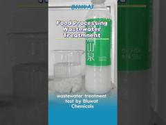 Fast Food Wastewater Treatment 