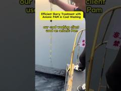 Efficient Slurry Treatment with Anionic PAM in Coal Washing