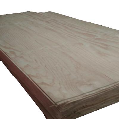 China Knotless Plywood Comaccord Radiata Pine Wood Face Veneer Face Veneer for sale