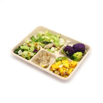 China Disposable Eco-friendly Bagasse Eco-friendly Biodegradable Disposable Pulp 5 6 Compartment Biodegradable Plates For Canteen And Home for sale