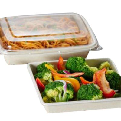 China Eco-friendly Biodegradable Disposable Bagasse Clamshell Style Food Container Minimalist Lunch Box For Caterer for sale