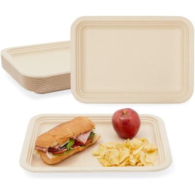 China New Products Biodegradable Eco-friendly Disposable Biodegradable Takeaway Food Sugarcane Bagasse Fruit And Vegetable Disposable Trays for sale