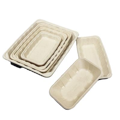 China New Design Biodegradable Eco-friendly Disposable Sugarcane Bagasse Biodegradable Food Tray Disposable Vegetables and Meat Trays for sale