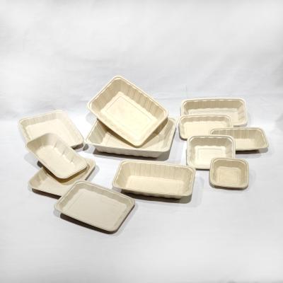 China Disposable Eco-friendly Biodegradable Eco-friendly Sugarcane Vegetables And Bagasse Rectangular Disposable Meat Trays For Supermarket for sale