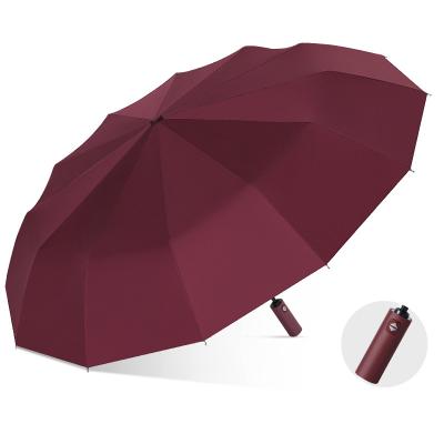 China Oriental china umbrella automatic windproof umbrella buy 12 ribs Wholesale umbrellas for sale