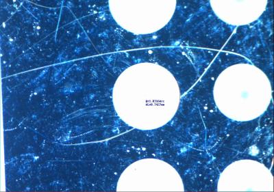 Cina Alta telecamera CCD del microscopio di definizione con il software incorporato di misura in vendita