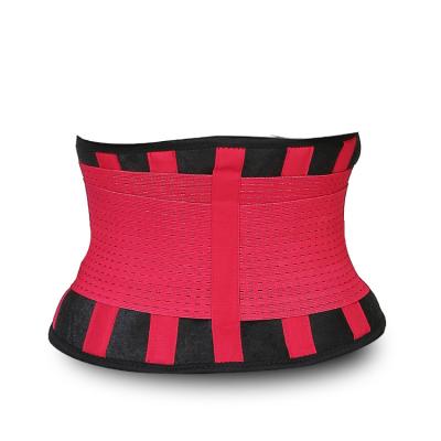 China Adult High Quality Private Label OEM Women And Men Waist Tummy Trimmer Trainer Neoprene Belly Slimming Belt for Waist Shaper for sale