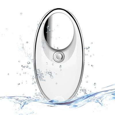 China Nourishing design for handy automatic small beauty jet nano beauty USB facial steamer charging facial nano mist for female gift for sale