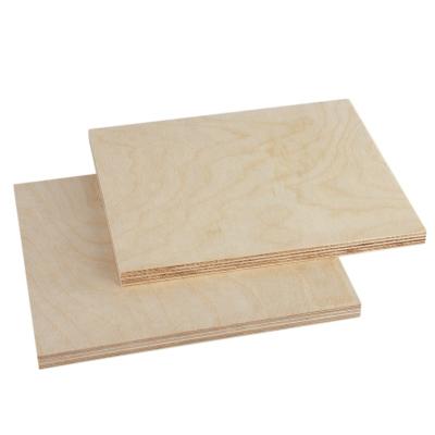 China Modern Hot Selling Baltic Russian 1/2 Birch Plywood Sheet For Furniture And Construction for sale