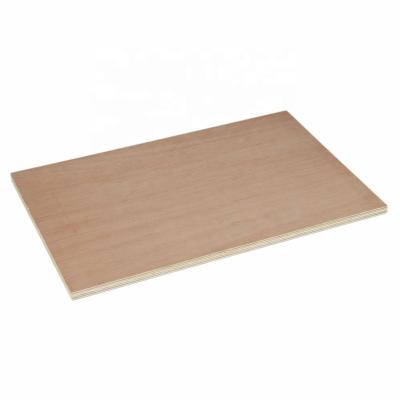 China Modern cheap okoume poplar eucalyptus birch marine plywood suppliers for sale