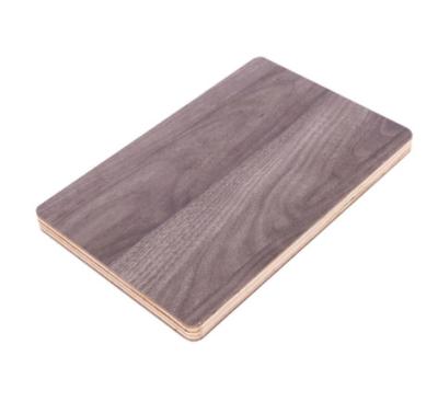 China Low Price Modern Wood Grain Melamine Faced Plywood For Furniture Cabinet Use for sale