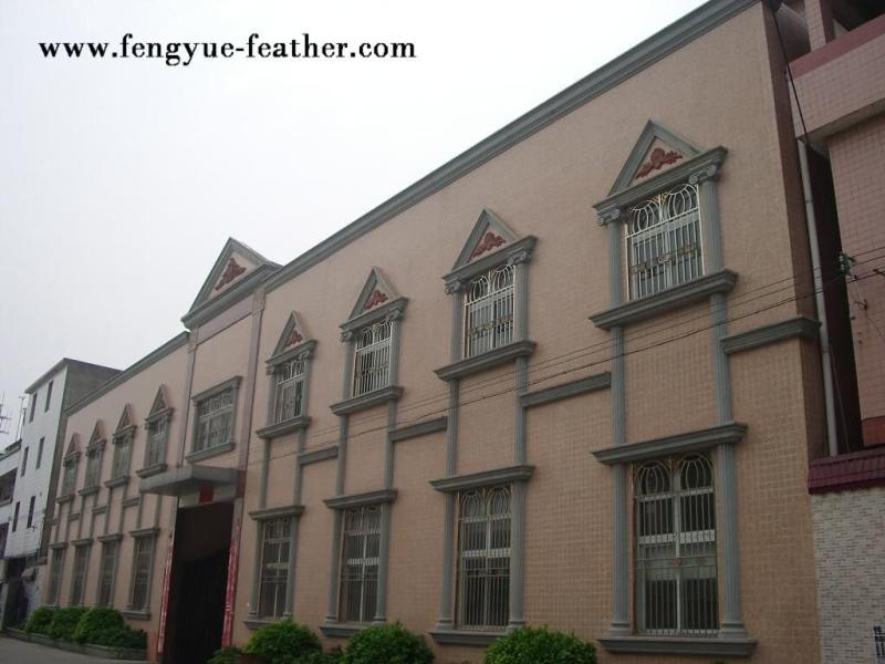 Verified China supplier - Guangdong Hongfa Import & Export Co., Ltd.