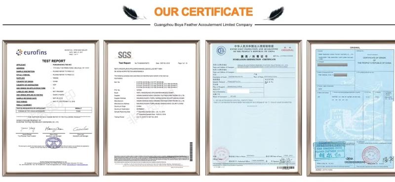 Verified China supplier - Guangdong Hongfa Import & Export Co., Ltd.