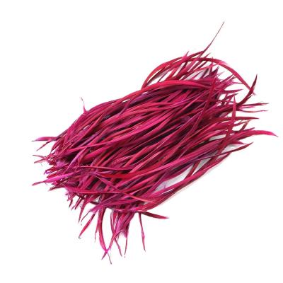 China DIY Craft Loose Goose Biot Feather Dyed For Your Creative Projects Decorations for sale