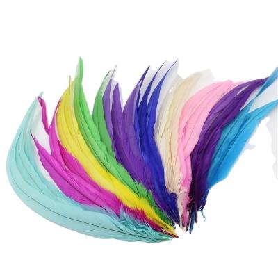 China Shipping DHL UPS FEDEX TNT Bleached Dyed Rooster Coque Feather for sale