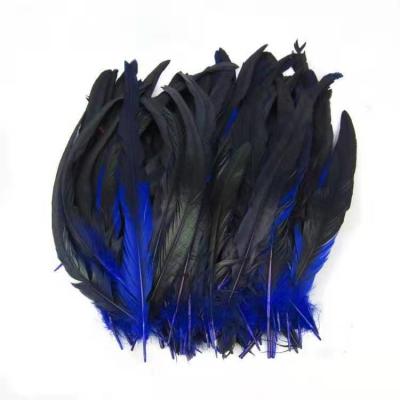 China Pattern Dyed Party Decoration Rooster Coque Feathers for Event Party Supplies for sale